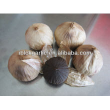 Black Garlic Export To Europe